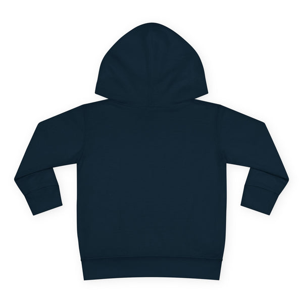 Denver Toddler Hoodie - Retro Mountain Sun Unisex Denver Toddler Sweatshirt