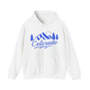 Colorado Hoodie - Mountain Unisex Colorado Hoodie Sweatshirt
