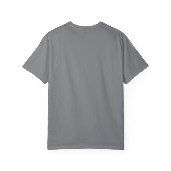 Boise, Idaho Graphic Tee, Comfort Colors Retro Unisex Boise T shirt, Mountain Adventure Shirt