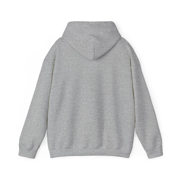 Denver, Colorado Hoodie - Unisex Mountain Denver Hoodie Graphic Sweatshirt
