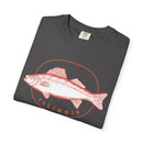 Illinois Graphic Tee, Comfort Colors Retro Unisex T shirt-12