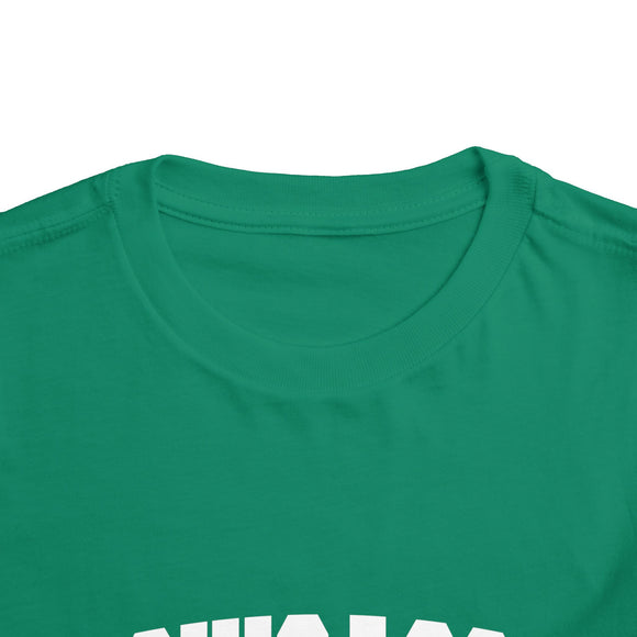 Chicago, Illinois Toddler Graphic Tee - Kids Chicago Vacation T-Shirt
