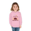 New Mexico Toddler Hoodie - Unisex New Mexico Toddler Sweatshirt-18