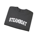Steamboat, Colorado Sweatshirt - Unisex Graphic Crewneck-17