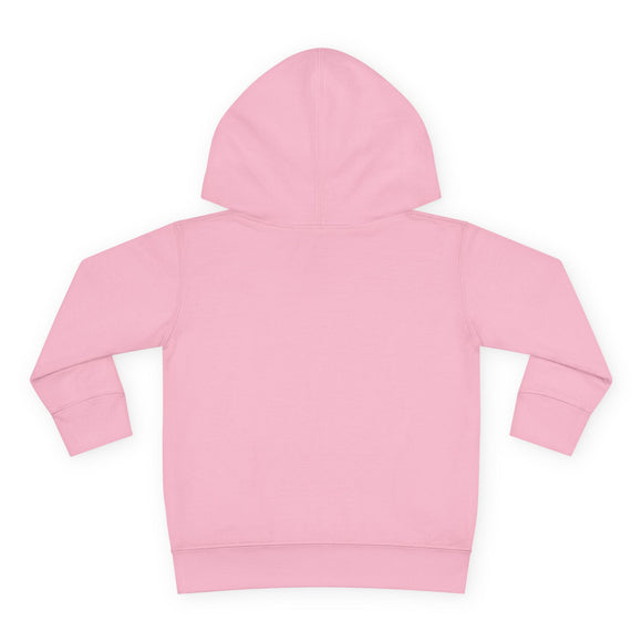 Stowe, Vermont Toddler Hoodie - Unisex Stowe Skiing Snowman Sweatshirt