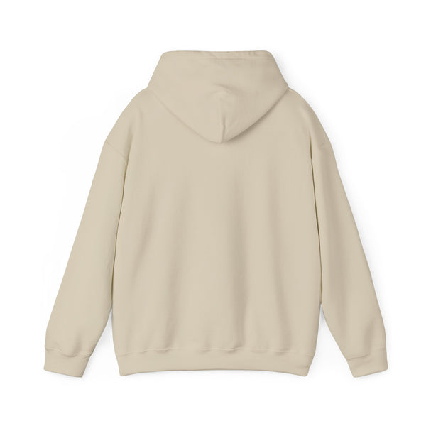 Denver, Colorado Hoodie - Unisex Mountain Denver Hoodie Graphic Sweatshirt