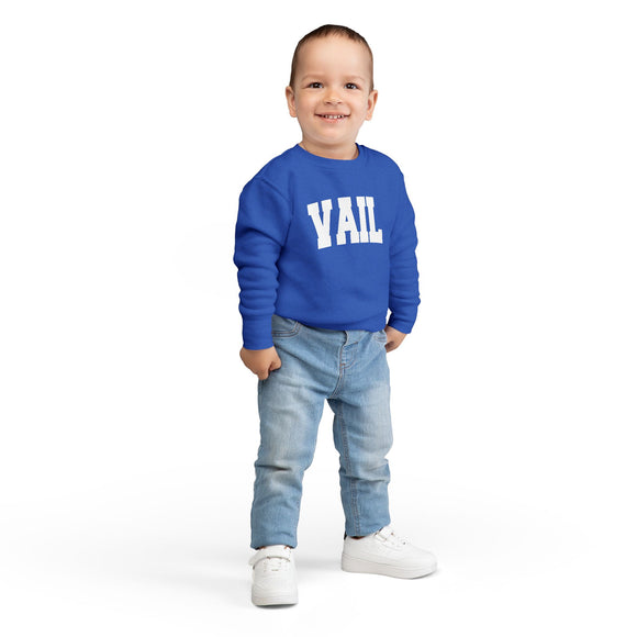 Vail, Colorado Sweatshirt - Vail Toddler Crewneck Sweatshirt