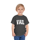 Vail, Colorado Toddler Graphic Tee - Kids Vail Vacation T-Shirt-16