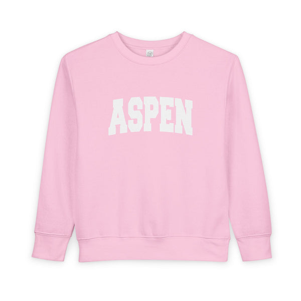 Aspen, Colorado Toddler Sweatshirt - Aspen Toddler Crewneck Sweatshirt