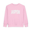 Aspen, Colorado Toddler Sweatshirt - Aspen Toddler Crewneck Sweatshirt