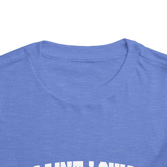 St Louis, Missouri Toddler Graphic Tee - Kids St Louis Vacation T-Shirt