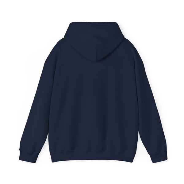 Bend, Oregon Mountain Sun Hoodie - Unisex Bend, Oregon Hooded Sweatshirt, Bend, Oregon Travel Sweatshirt, Bend, Oregon Sunset