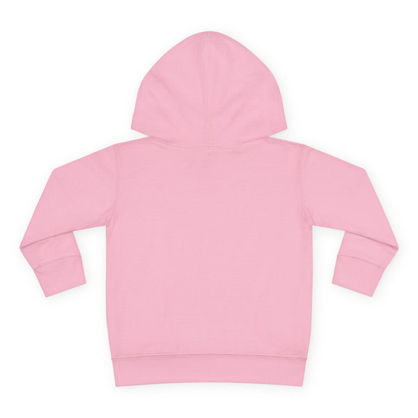 Denver Toddler Hoodie - Retro Mountain Sun Unisex Denver Toddler Sweatshirt