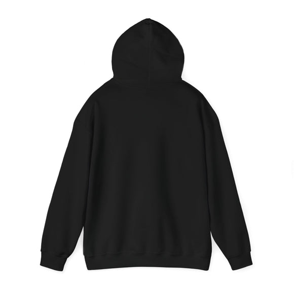 Pickleball Delaware Hoodie Sweatshirt - Unisex Heavy Blend Hoodie, Gift for Pickleball Players