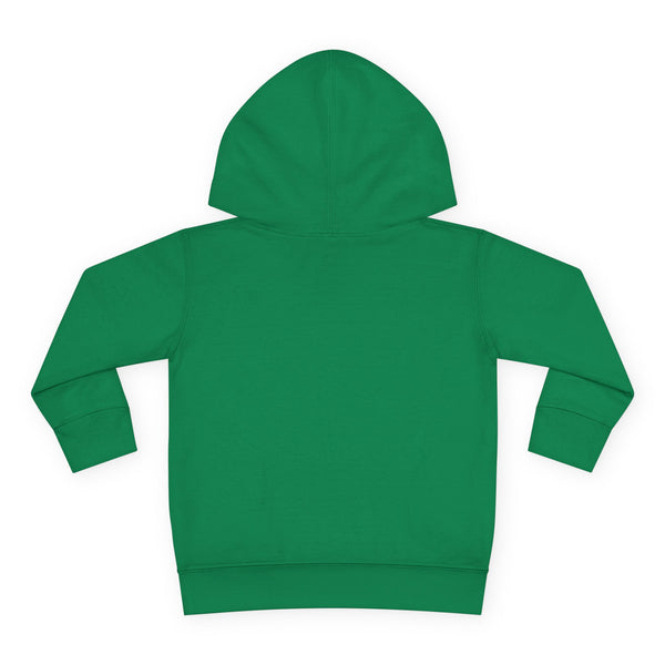 Denver Toddler Hoodie - Retro Mountain Sun Unisex Denver Toddler Sweatshirt