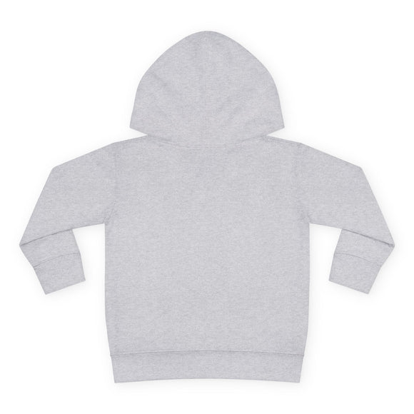 Aspen, Idaho Toddler Hoodie - Unisex Aspen Toddler Sweatshirt