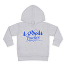 Truckee, California Toddler Hoodie - Unisex Mountain Truckee Pullover Sweatshirt, Kids Hooded Jumper, California Souvenir-2