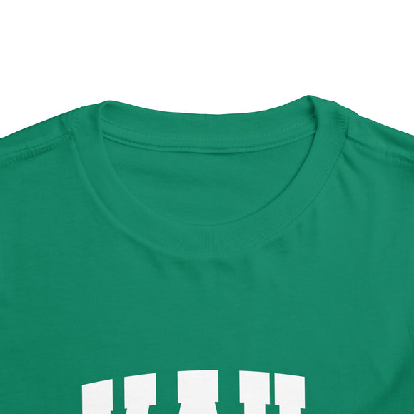 Vail, Colorado Toddler Graphic Tee - Kids Vail Vacation T-Shirt