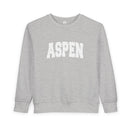 Aspen, Colorado Toddler Sweatshirt - Aspen Toddler Crewneck Sweatshirt-1