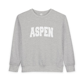 Aspen, Colorado Toddler Sweatshirt - Aspen Toddler Crewneck Sweatshirt
