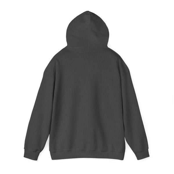 Bend, Oregon Mountain Sun Hoodie - Unisex Bend, Oregon Hooded Sweatshirt, Bend, Oregon Travel Sweatshirt, Bend, Oregon Sunset