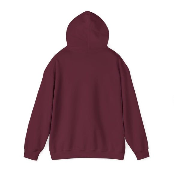 Bend, Oregon Hoodie - Unisex Mountain Bend Hoodie Graphic Sweatshirt