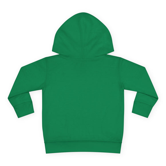 Stowe, Vermont Toddler Hoodie - Unisex Stowe Toddler Sweatshirt