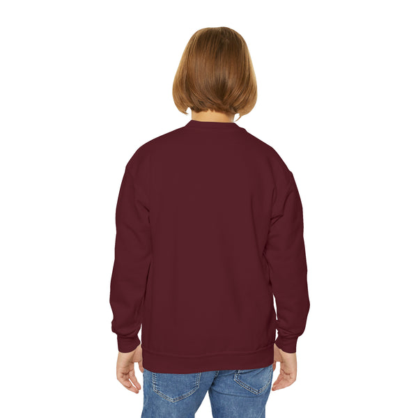 Salida, Colorado Youth Sweatshirt - Unisex Kid's Salida Crewneck Sweatshirt