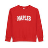 Naples, Florida Sweatshirt - Naples Toddler Crewneck Sweatshirt