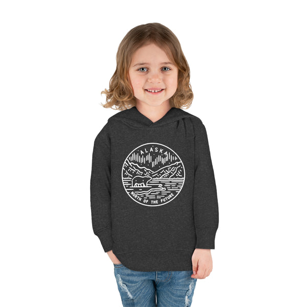 Alaska Toddler Hoodie - State Design Unisex Alaska Toddler Sweatshirt