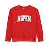 Aspen, Colorado Toddler Sweatshirt - Aspen Toddler Crewneck Sweatshirt