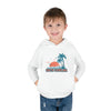 South Carolina Toddler Hoodie - Unisex South Carolina Toddler Sweatshirt