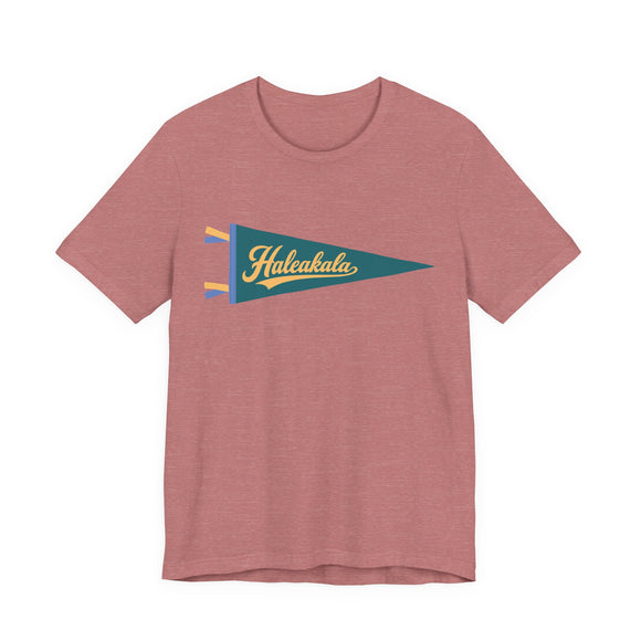 Haleakala National Park Pennant T-Shirt — Vintage Camp Flag Tee