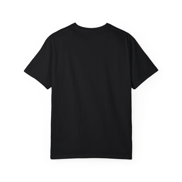 Chattanooga, Tennessee Graphic Tee, Comfort Colors Retro Unisex Chattanooga T shirt, Mountain Adventure Shirt