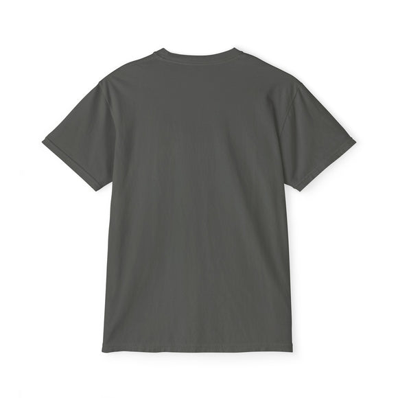 Big Sky, Montana Pocket Tee Shirt, Garment-Dyed Shirt, Mountain Graphic Tee, Comfort Colors