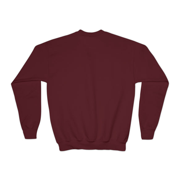 Stowe, Vermont Youth Sweatshirt - Unisex Kid's Stowe Crewneck Sweatshirt