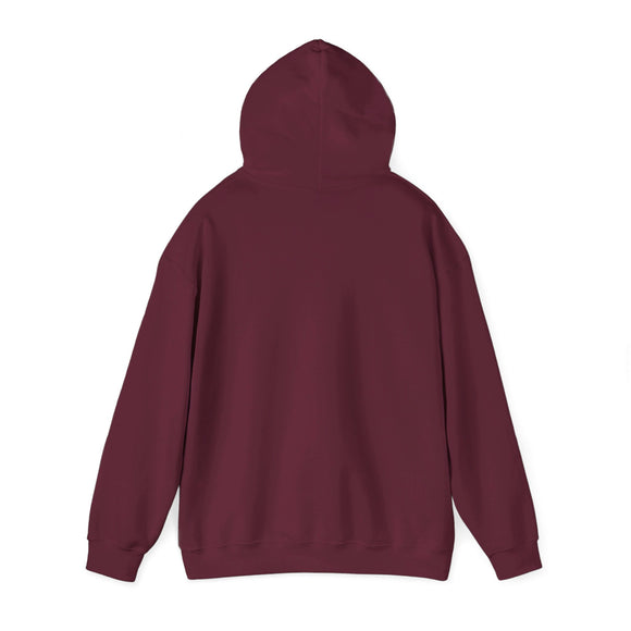 Stowe, Vermont Hoodie - Retro Ombre Unisex Stowe Hoodie Sweatshirt