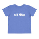 New Mexico Toddler Graphic Tee - Kids New Mexico Vacation Shirt-1