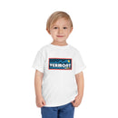 Vermont Toddler Graphic Tee - Kids Vermont Shirt-7
