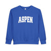 Aspen, Colorado Toddler Sweatshirt - Aspen Toddler Crewneck Sweatshirt