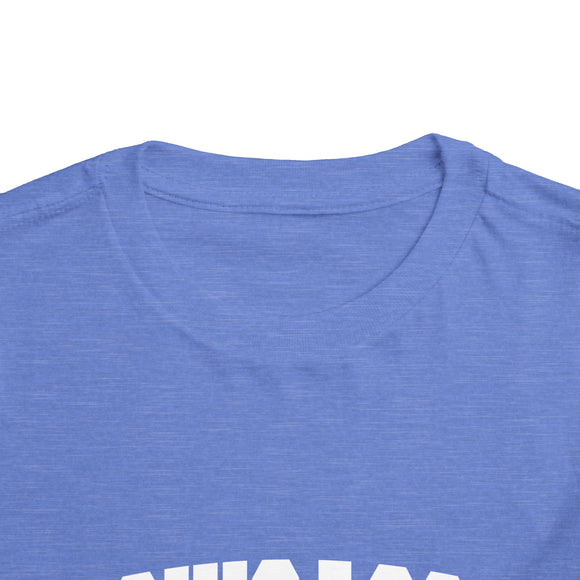 Chicago, Illinois Toddler Graphic Tee - Kids Chicago Vacation T-Shirt