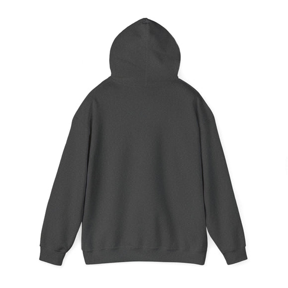 Utah Mountain Sun Hoodie - Unisex Utah Hooded Sweatshirt, Utah Travel Sweatshirt, Utah Sunset