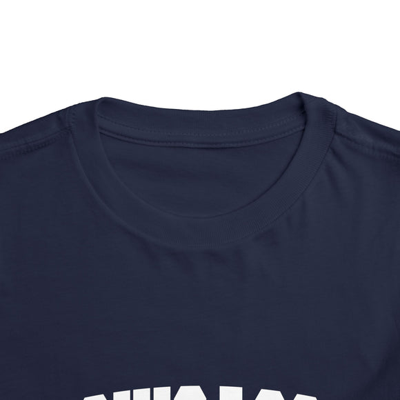 Chicago, Illinois Toddler Graphic Tee - Kids Chicago Vacation T-Shirt