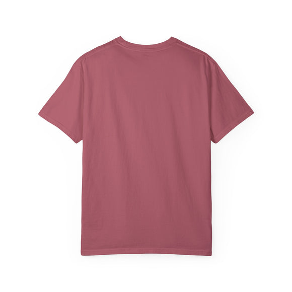 Arizona Graphic Tee, Comfort Colors Retro Unisex T shirt