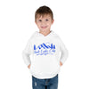 Salt Lake City, Utah Toddler Hoodie - Unisex Mountain Salt Lake City Pullover Sweatshirt, Kids Hooded Jumper, Utah Souvenir