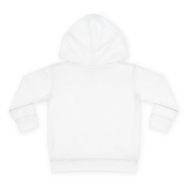 Denver Toddler Hoodie - Retro Mountain Sun Unisex Denver Toddler Sweatshirt