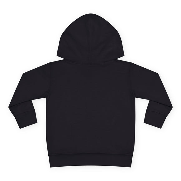 Naples, Florida Toddler Hoodie - Unisex Naples Toddler Sweatshirt