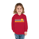 Massachusetts Toddler Hoodie - Retro Sunrise Unisex Massachusetts Toddler Sweatshirt-17