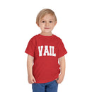 Vail, Colorado Toddler Graphic Tee - Kids Vail Vacation T-Shirt-19