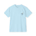 Chambray